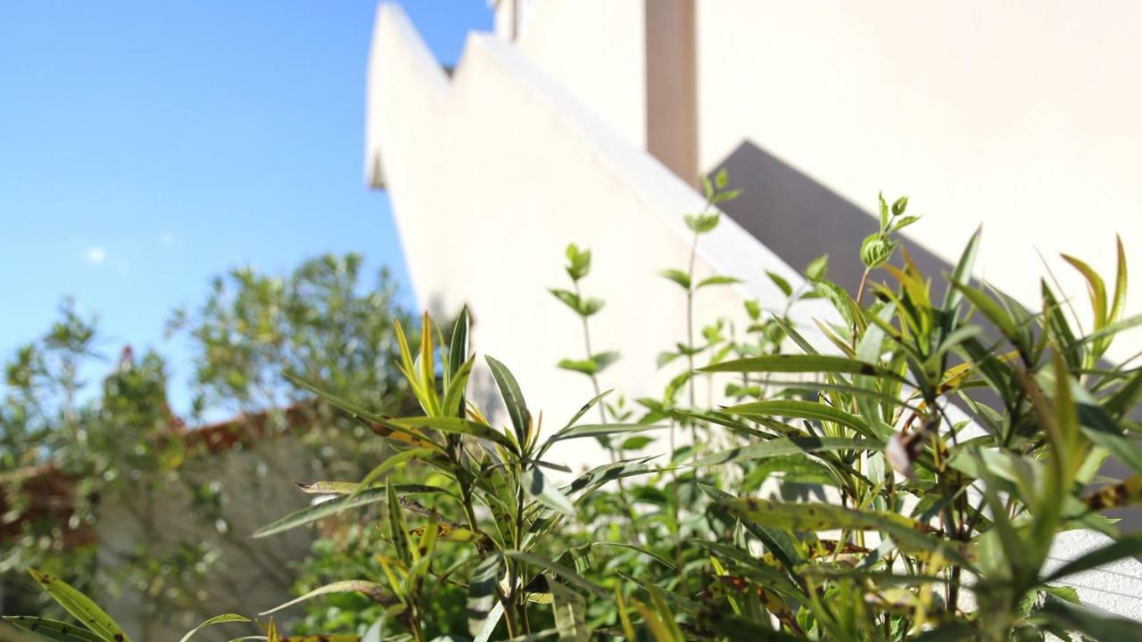 Residence Les Muriers Allegre Les Fumades Exterior foto